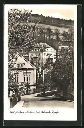 AK Bad Liebwerda / Lazne Libverda, Strasse mit Blick zur Hotel-Pension Wildner