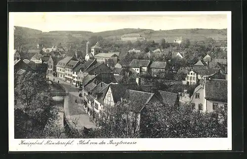 AK Münstereifel, Blick auf den Ort von der Burgterrasse