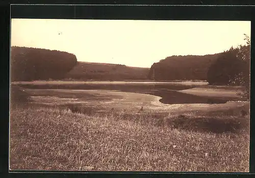 Foto-AK Gillenfeld, Blick auf Holzmaar