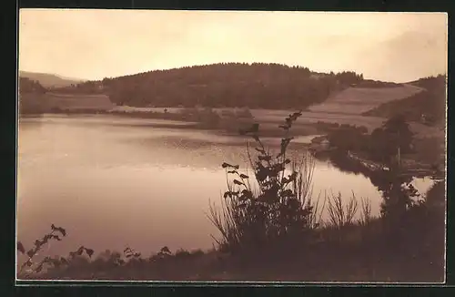 Foto-AK Daun /Eifel, Gemünder Maar