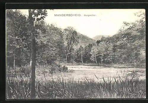 AK Manderscheid, Burgweiher mit Waldstück