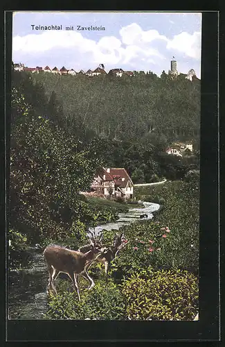 AK Zavelstein /Teinachtal, Blick aus dem Tal zum Ort