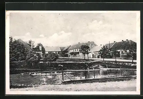 AK Stern /Hvezda, Gänse auf dem Dorfweiher