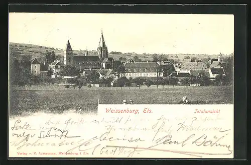 AK Weissenburg /Els, Totalansicht mit Kirche