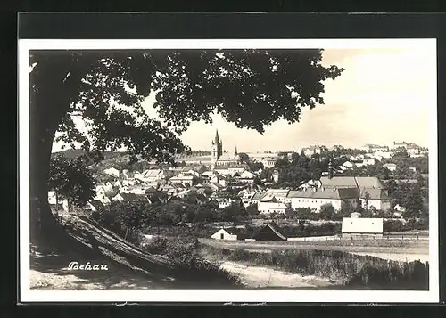 AK Tachau, Panorama mit Kirche