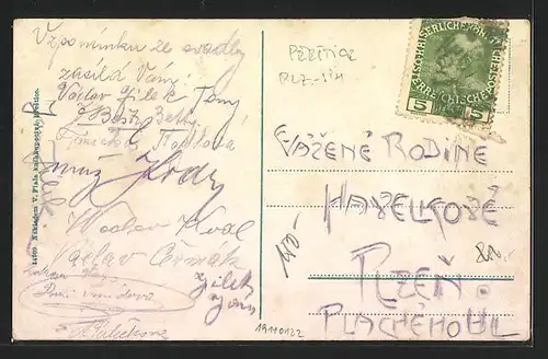 AK Prestice, Celkovy pohled