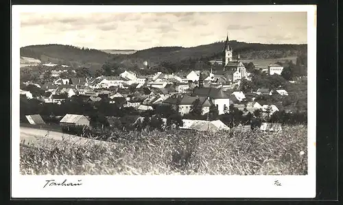 AK Tachau, Panorama der Stadt mit Bergen in der Ferne