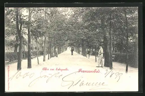 AK Franzensbad, Allee zur Salzquelle