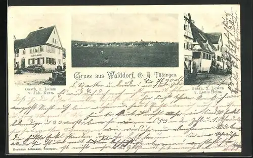 AK Walddorf, Gasthaus zum Lamm, Gasthaus zum Löwen