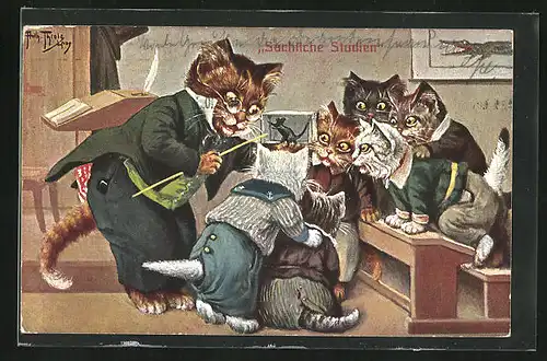 Künstler-AK Arthur Thiele: Sachliche Studien in der Katzen-Schule