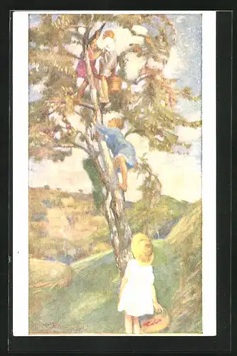 Künstler-AK sign. Pietro Chiesa: Kinder auf dem Apfelbaum