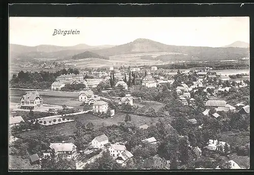 AK Bürgstein, Totalansicht