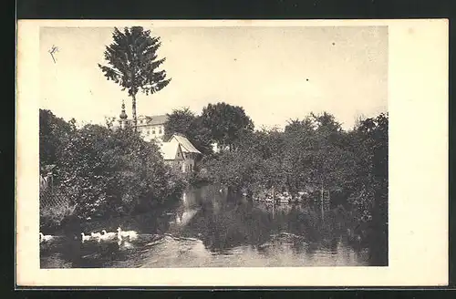 AK Reichstadt, Partie am See