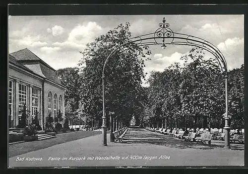 AK Bad Kudowa, Kurpark mit Wandelhalle und Allee