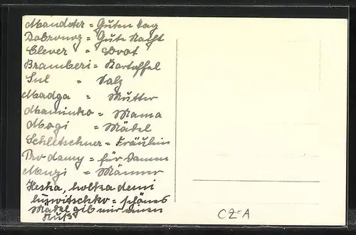 AK Tetschen-Bodenbach / Decin, Gesamtansicht mit Schloss