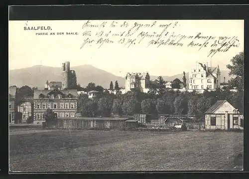 AK Saalfeld / Saale, Teilansicht mit Burgruine