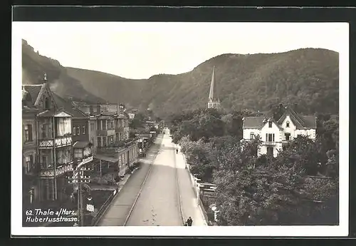 AK Thale / Harz, Hubertusstrasse aus der Vogelschau