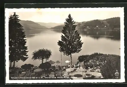 AK Titisee (Schwarzwald), Seeterrasse Wolfs-Hotel