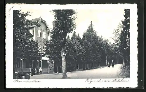 AK Benneckenstein, Wegpartie am Gasthof Waldhaus