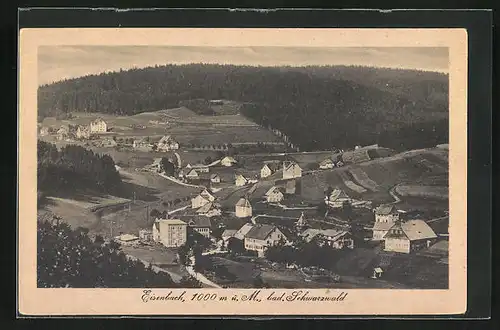 AK Eisenbach (bad. Schwarzwald), Gesamtansicht aus der Vogelschau