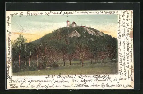 AK Teplitz Schönau / Teplice, Panorama mit Schlossberg