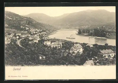 AK Salesel / Dolni Zalezly, Salesel / Dolni Zalezly, Generalansicht der Stadt mit dem Flusslauf