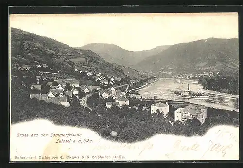 AK Salesel / Dolni Zalezly, Stadtansicht von den Bahnschienen aus, Blick auf die Elbe