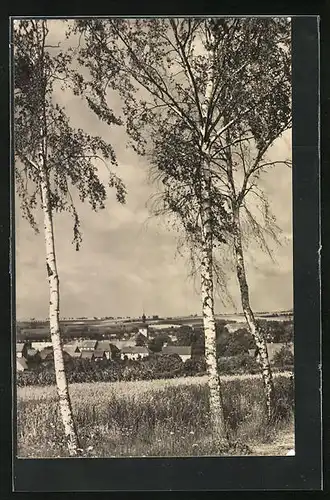 AK Libesice, Partie an den Birken mit Blick auf den Ort