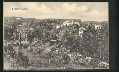 AK Senohraby, Panorama