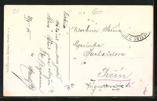 AK Brandys n. L., Panorama