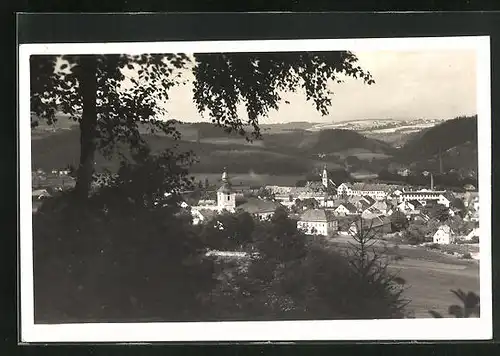 AK Liebenau, Stadttotale im Tal vom Waldrand aus