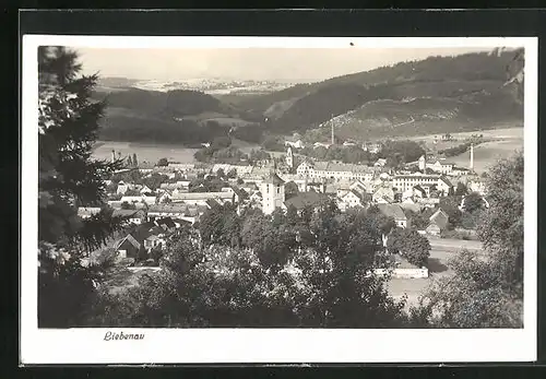 AK Liebenau, Blick über die Baumkronen auf die gesamte Stadt