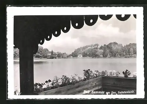 AK Hammer Am See / Hamr Na Jezere, Sudetenland, Blick von der Terrasse über das Wasser