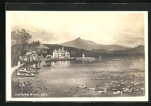 AK Hammer Am See / Hamr Na Jezere, Bootsanlegestelle, Blick zum Gasthaus