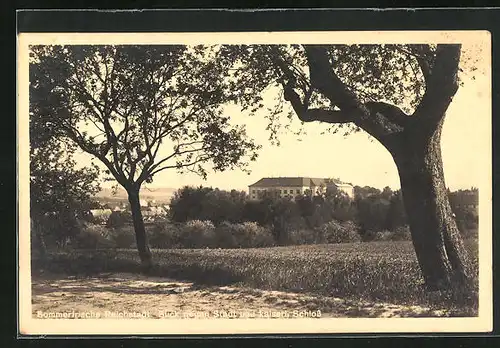 AK Reichstadt, Blick gegen Stadt und kaiserl. Schloss