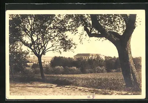 AK Reichstadt, Blick von den Feldern zur Stadt und dem kaiserl. Schloss