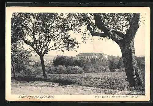 AK Reichstadt, Blick zum kaiserlichen Schloss und zur Stadt