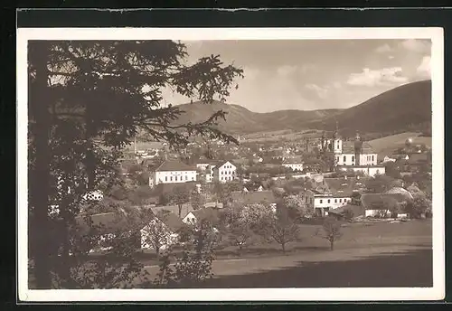 AK Haindorf / Hejnice, Blick vom Waldrand auf die Stadt und die Klosterkirche