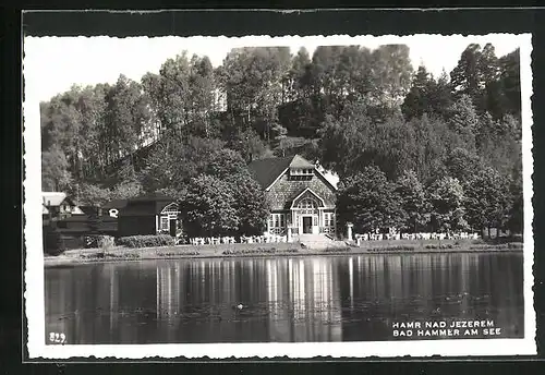 AK Hammer Am See / Hamr Na Jezere, Hotel Seehof am Ufer