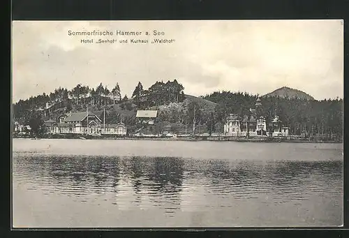 AK Hammer Am See / Hamr Na Jezere, Hotel Seehof und Kurhaus Waldhof