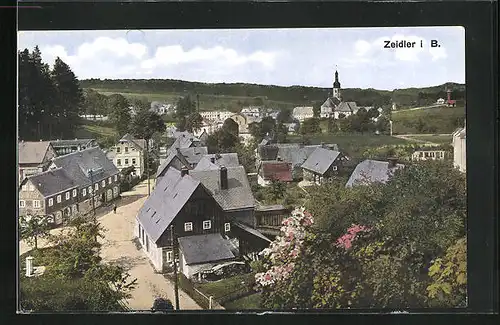 AK Zeidler i. B., Blick über die Dächer der Ortschaft