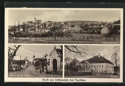 AK Lichtenstein bei Tuschkau, Gesamtansicht, Partie an der Kirche, Schloss