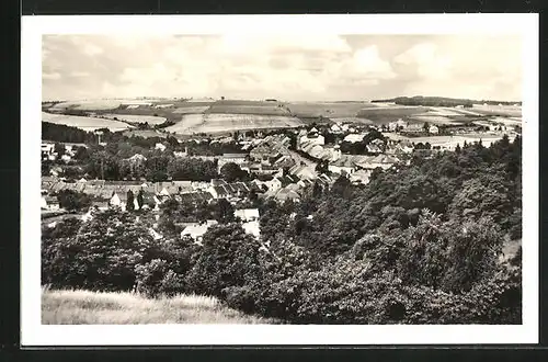 AK Radnice /Rokycany, Blick auf Ort und Wald