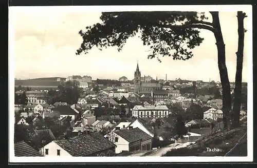 AK Tachau, Blick auf Stadt mit Kirche