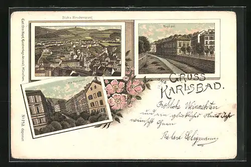 Lithographie Karlsbad, Neubad, Parkstrasse, Blick vom Hirschensprung
