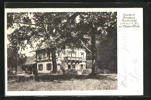 AK Landau /Pfalz, Gasthaus Forsthaus Taubensuhl
