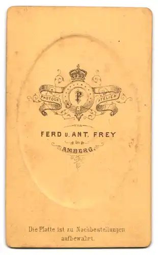 Fotografie Ferd. u. Ant. Frey, Amberg, Portrait junger Student im Anzug mit Couleur und Fliege