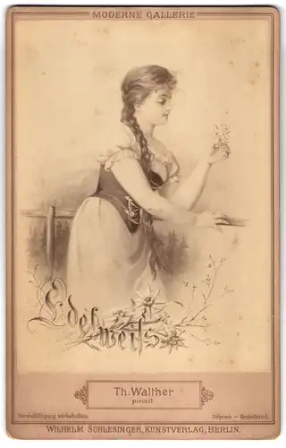 Fotografie Wilhelm Schlesinger, Berlin, Gemälde: Edelweiss, nach Th. Walther