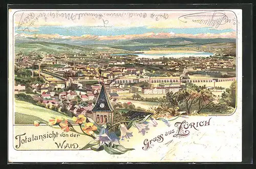 Lithographie Zürich, Totalansicht von der Waid