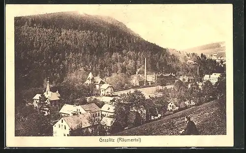 AK Graslitz /Räumertal, Ortspartie am Berg